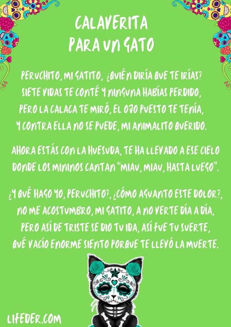 20 Calaveritas Literarias Cortas Para Niños Y Maestros (con Imágenes)