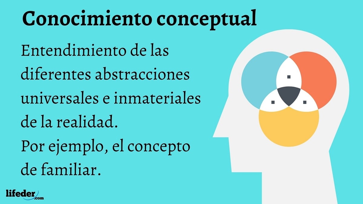 Conocimiento Artístico Concepto Características Tipos Ejemplos 2324