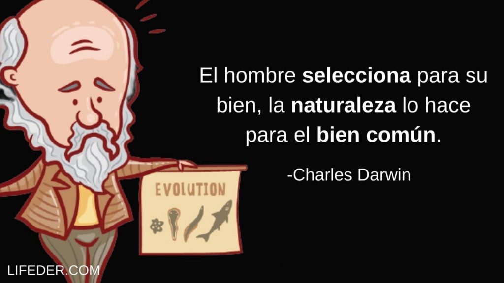 70 Frases de Charles Darwin sobre la evolución y Dios