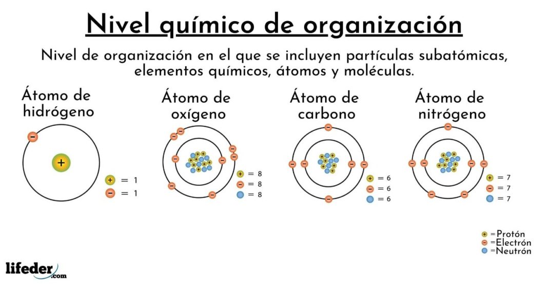 Nivel químico: definición, características y ejemplos