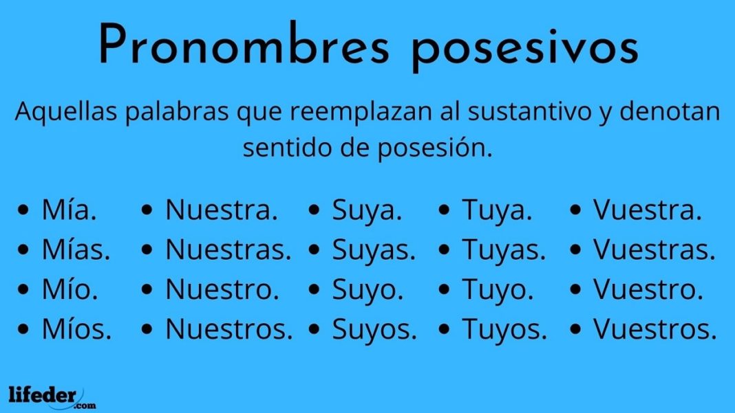 Pronombres posesivos: cuáles son, tipos y ejemplos