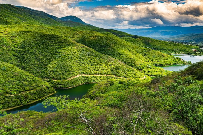 región natural concepto características tipos ejemplos