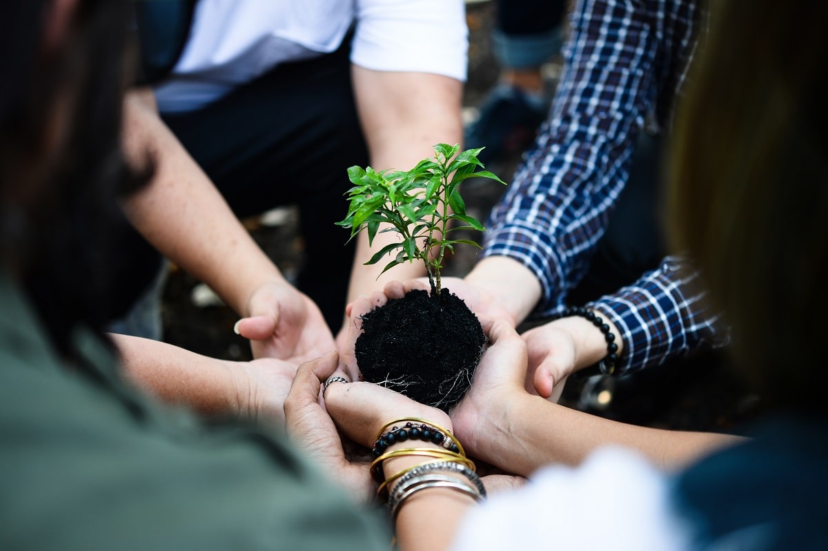 Valores Ambientales Concepto Importancia Ejemplos