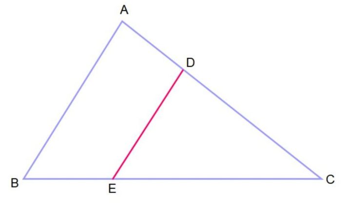 Teorema de Tales de Mileto explicación primero segundo y ejemplos