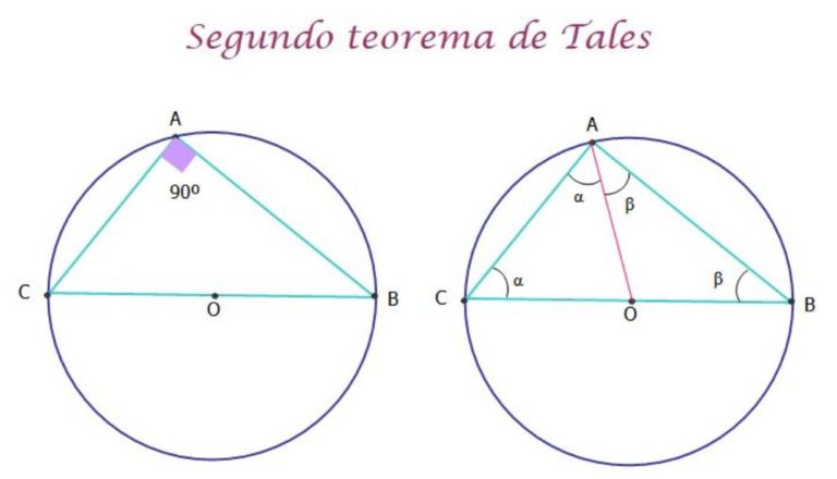 Teorema De Tales De Mileto Explicación Primero Segundo Y Ejemplos
