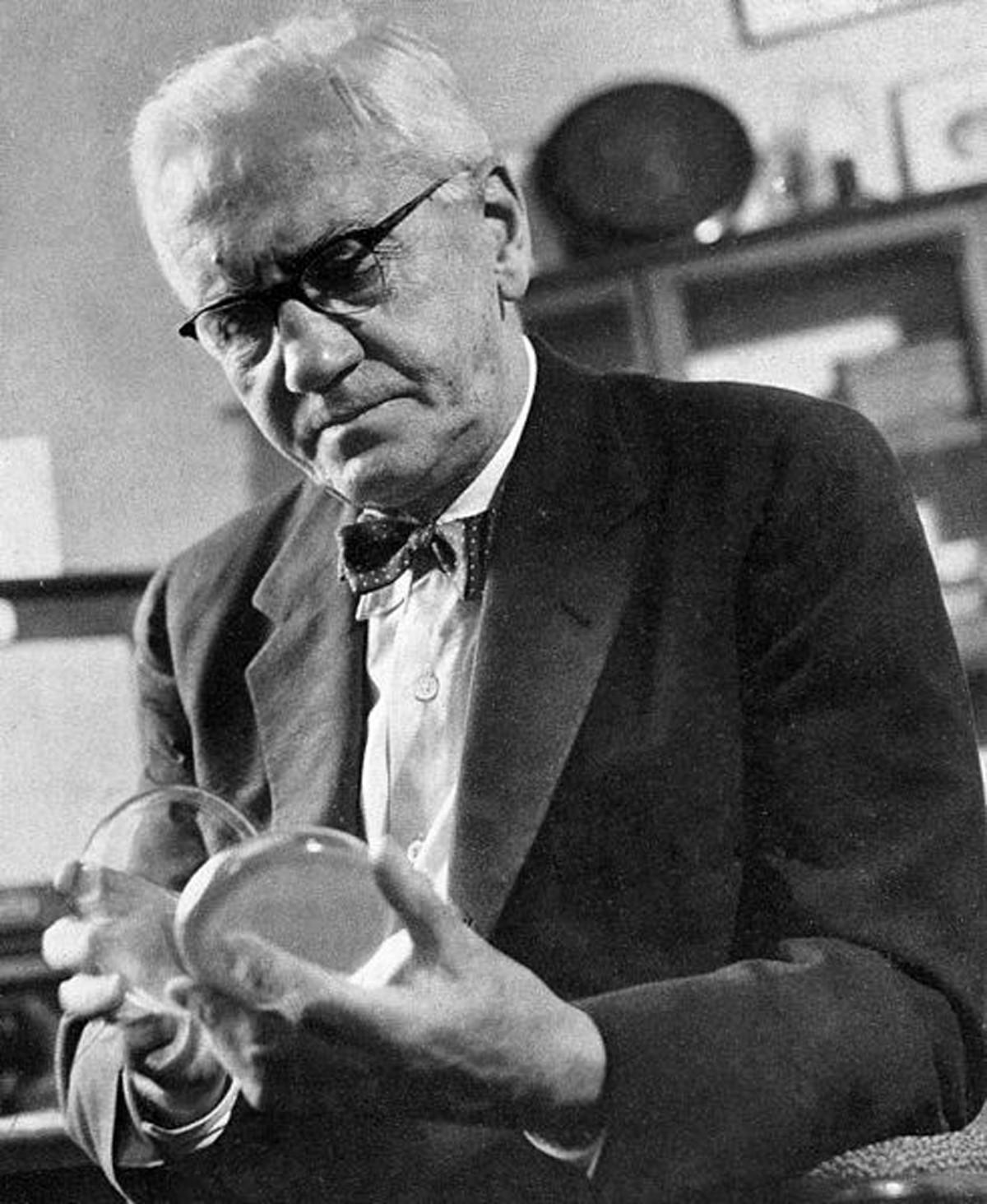 Alexander Fleming biografía, descubrimientos, aportes