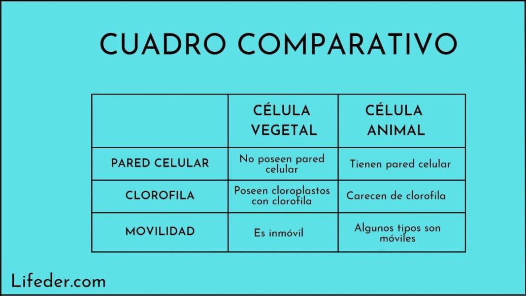 Cuadro Comparativo: Qué Es, Características, Cómo Se Hace, Ejemplos