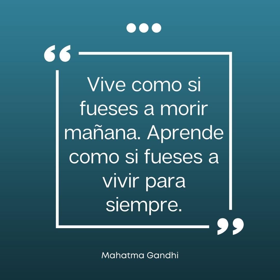 Las 105 Mejores Frases De Aprendizaje Y Experiencia