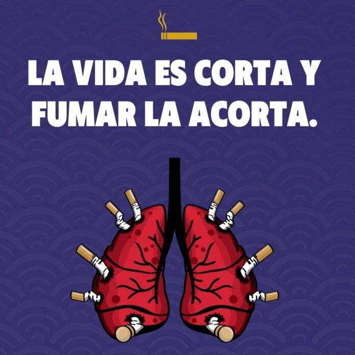 50 Frases Para Dejar De Fumar Motivadoras 7935