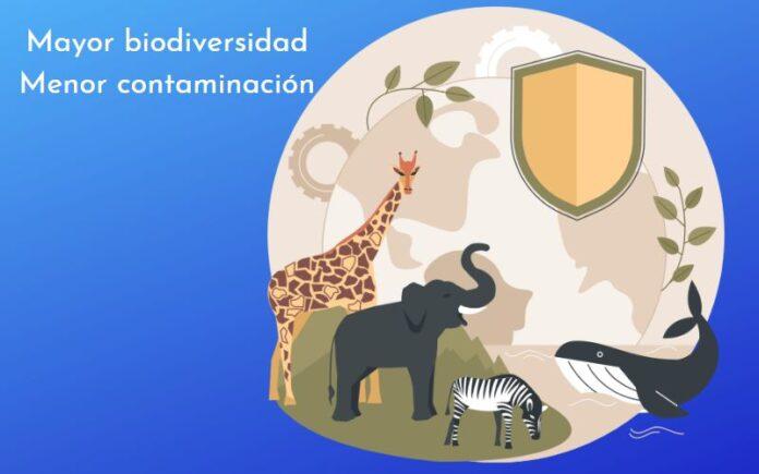 10 Acciones Para Cuidar La Biodiversidad