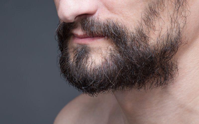 Barba Corta Descuidada  Tipos de barba, Estilos de barba, Estilos de barba  corta